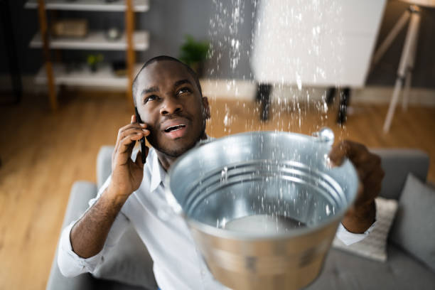 Best Water damage restoration cost  in Kirkland, WA