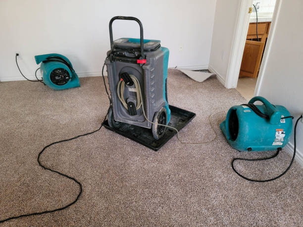 Water damage restoration process in Kirkland, WA
