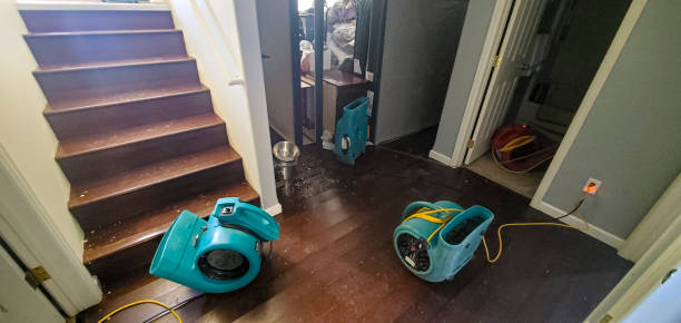 Best Water damage contractors near me  in Kirkland, WA