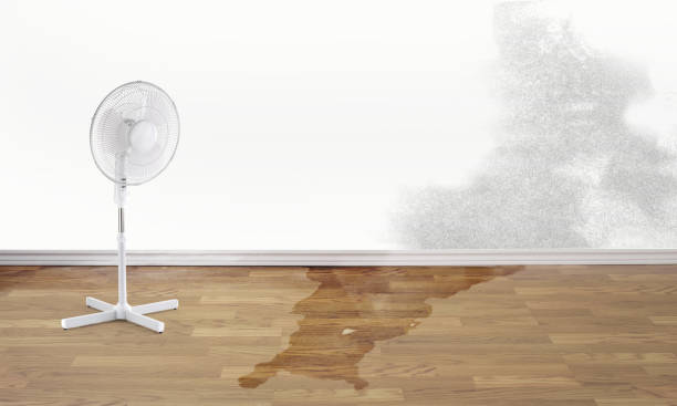 Best Residential water damage restoration  in Kirkland, WA