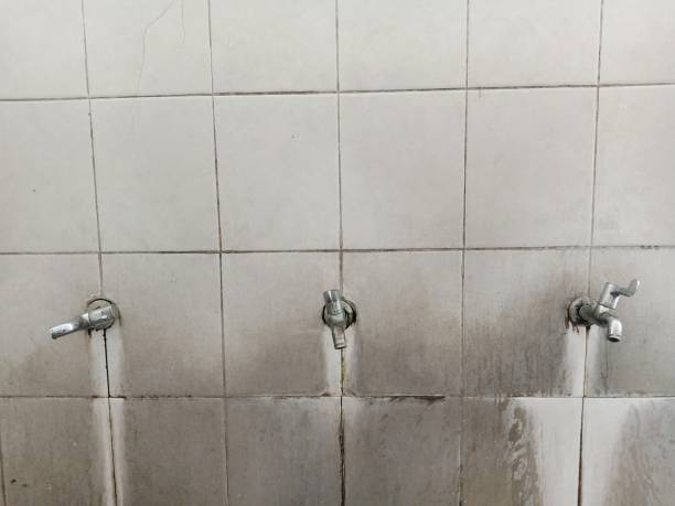 Best Flood restoration services  in Kirkland, WA
