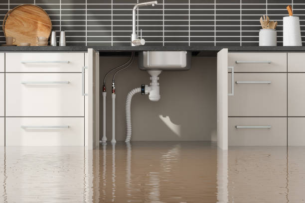 Best Water damage restoration near me  in Kirkland, WA